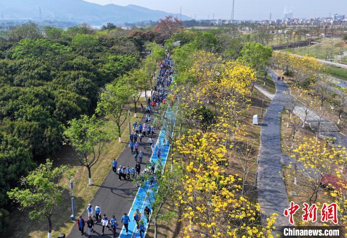 2025河源20公里城市亲水徒步：沿东江岸线漫行，
