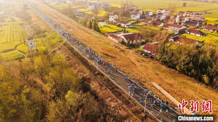 3500人“跑”进金色油画 湖南南县花海马拉松飘起