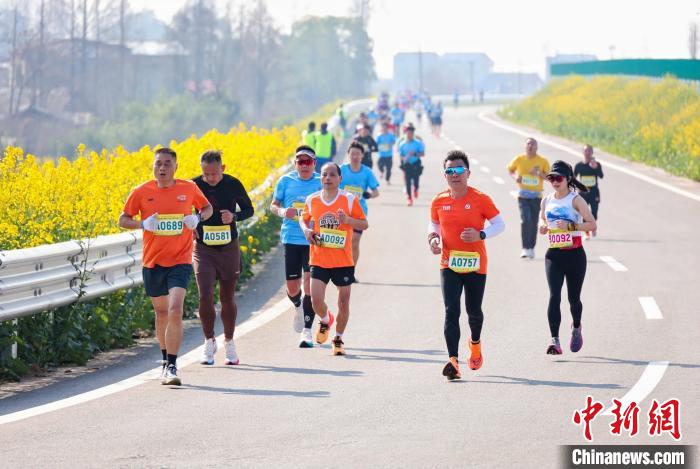 3500人“跑”进金色油画 湖南南县花海马拉松飘起